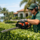 Hedge Trimming Service Near Me in St. Augustine