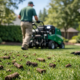 Lawn Aeration Service Near Me: What to Look For