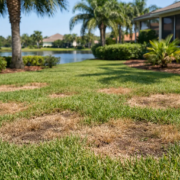 What Causes Brown Lawn Spots in Florida?
