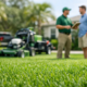 Free Estimate Lawn Services for St. Augustine