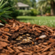 Does Mulch Attract Termites? Florida Yard Facts