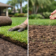 Sod vs Seed Florida: Which Lawn Choice Wins?