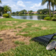 Why Is My Lawn Patchy? Florida Causes and Fixes